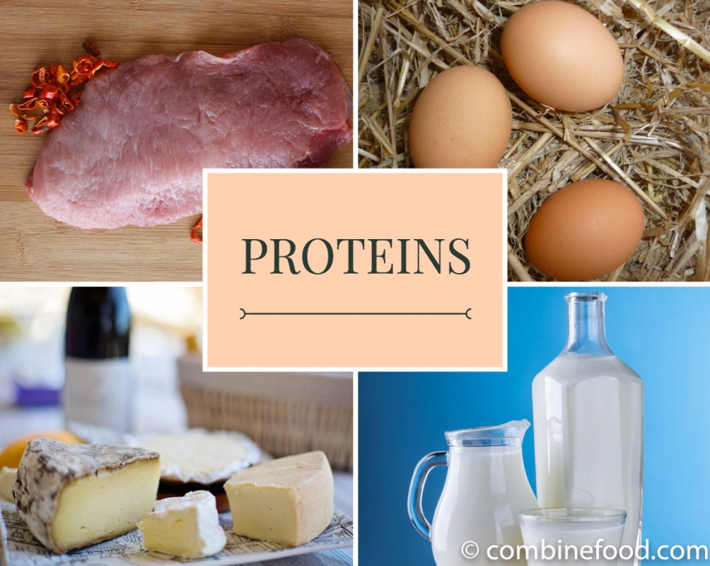 Белки и протеины разница. Белки протеины. Протеин в продуктах. Протеин сырье. Искусственный белок для питания.